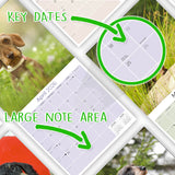 Dachshund (Wirehaired) Wall Calendar 2026