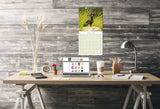 Dachshund (Wirehaired) Wall Calendar 2026
