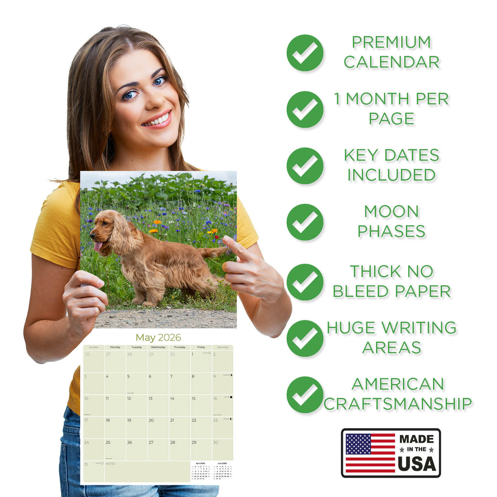 English Cocker Spaniel Wall Calendar 2026