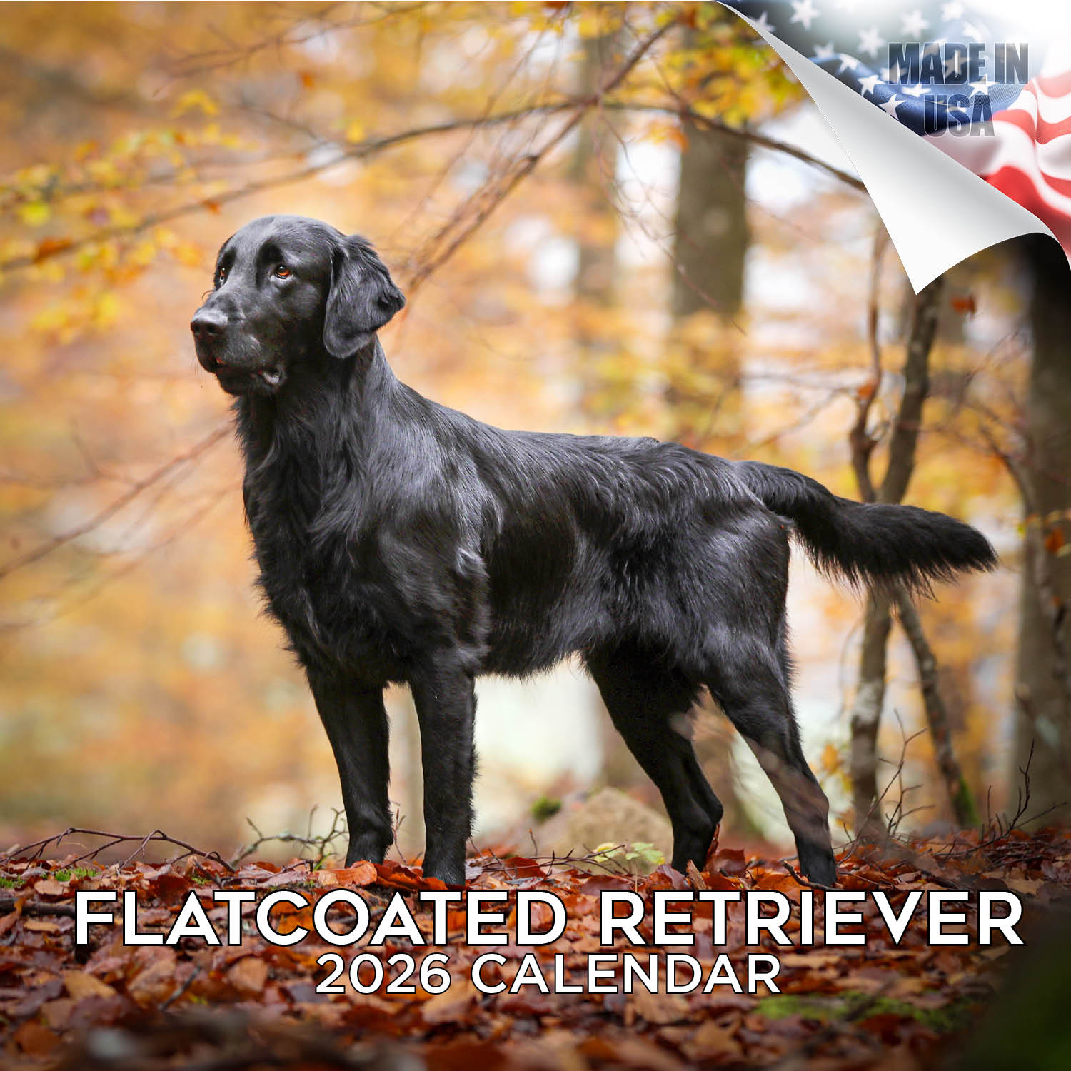 Flatcoated Retriever Wall Calendar 2026