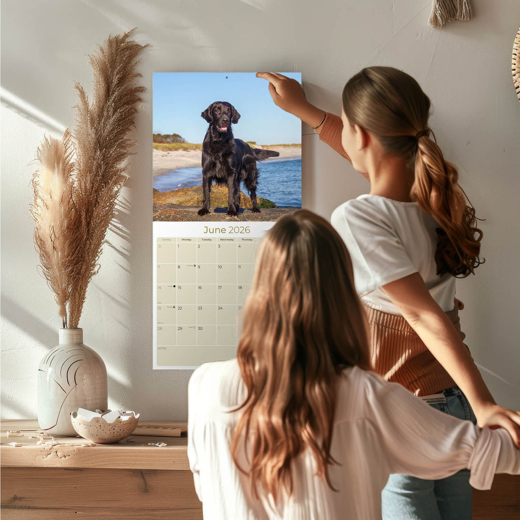 Flatcoated Retriever Wall Calendar 2026