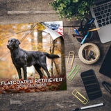 Flatcoated Retriever Wall Calendar 2026