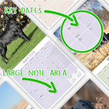 Flatcoated Retriever Wall Calendar 2026