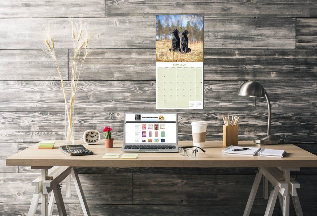 Flatcoated Retriever Wall Calendar 2026