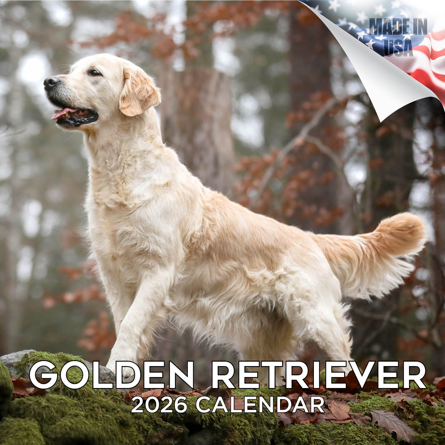 Golden Retriever Wall Calendar 2026
