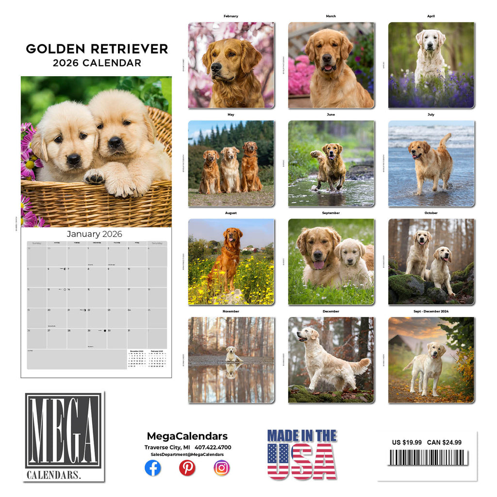 Golden Retriever Wall Calendar 2026