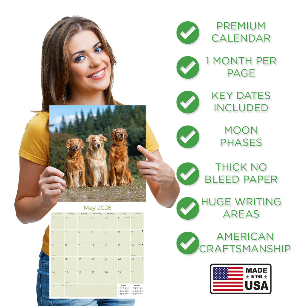 Golden Retriever Wall Calendar 2026