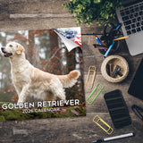 Golden Retriever Wall Calendar 2026