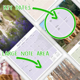 Golden Retriever Wall Calendar 2026