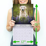 Golden Retriever Wall Calendar 2026