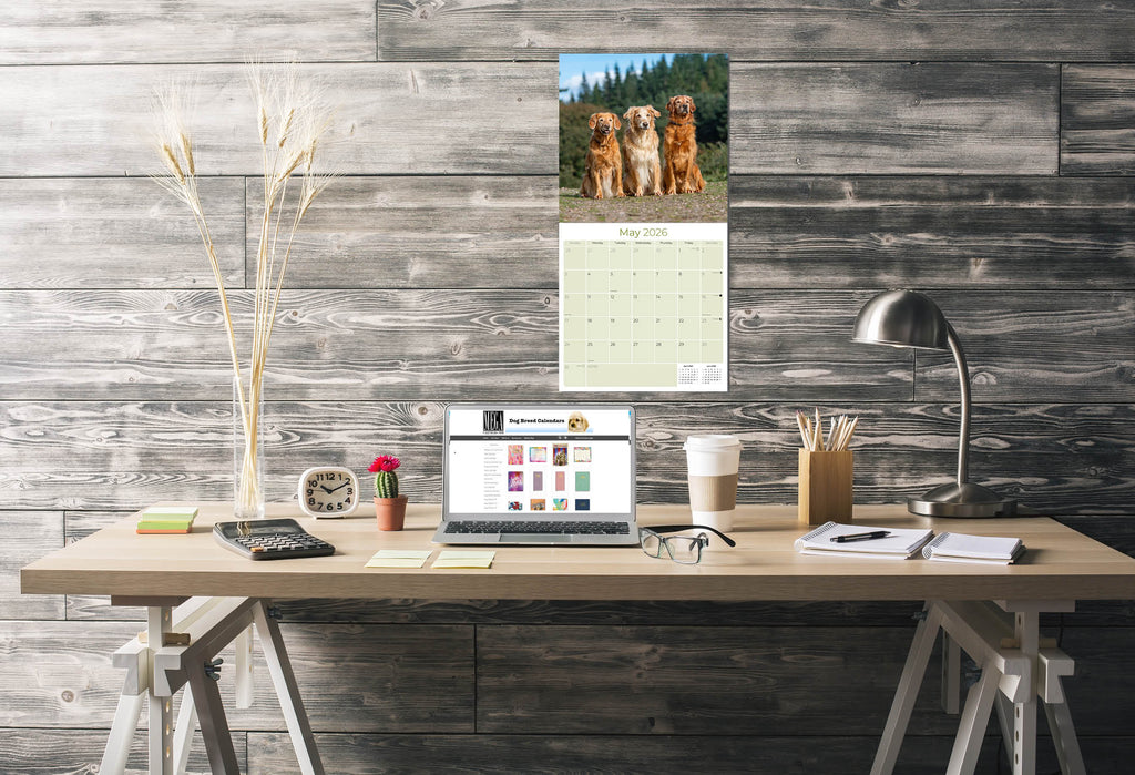 Golden Retriever Wall Calendar 2026