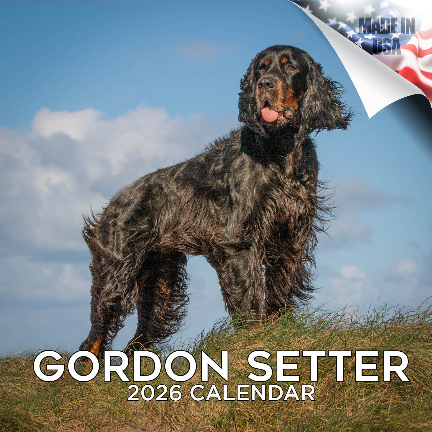 Gordon Setter Wall Calendar 2026