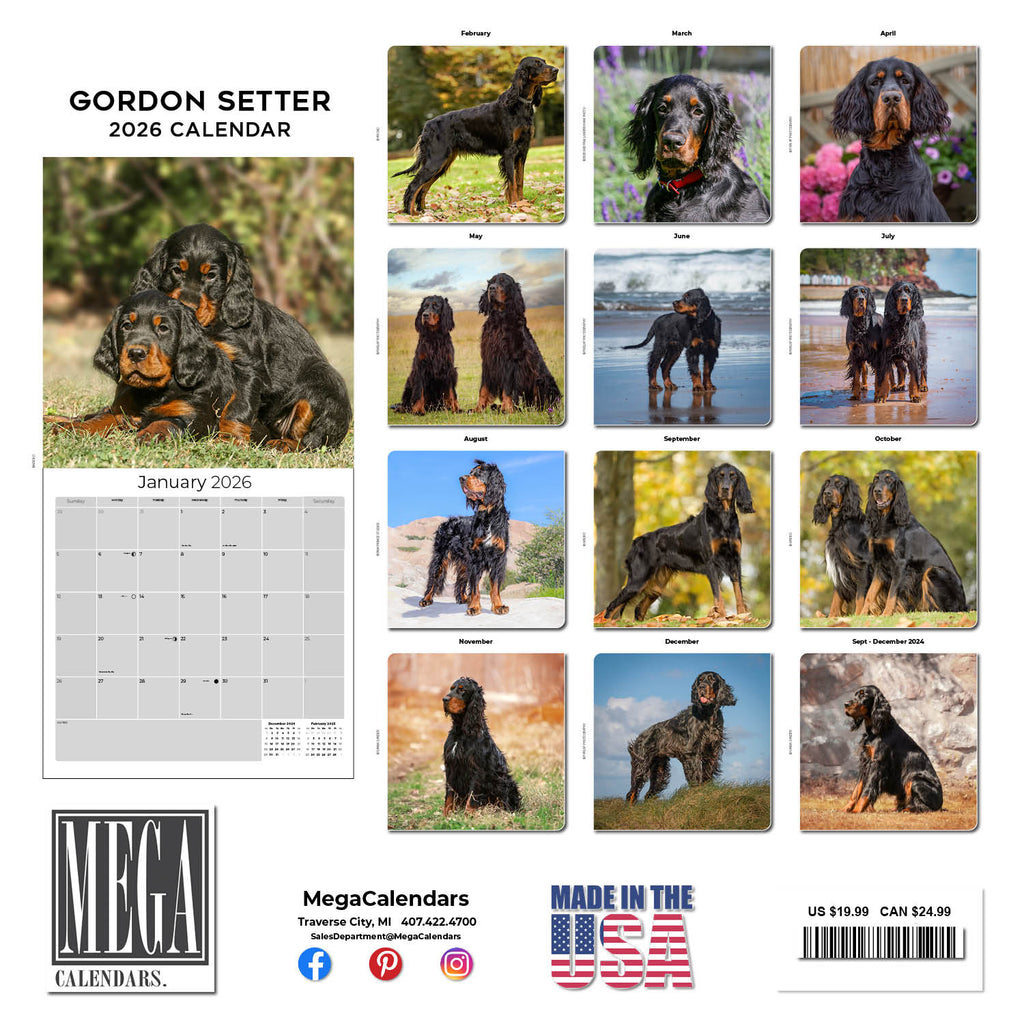 Gordon Setter Wall Calendar 2026