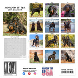 Gordon Setter Wall Calendar 2026