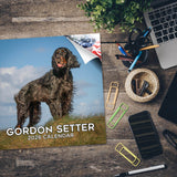 Gordon Setter Wall Calendar 2026