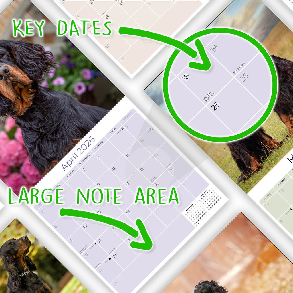 Gordon Setter Wall Calendar 2026