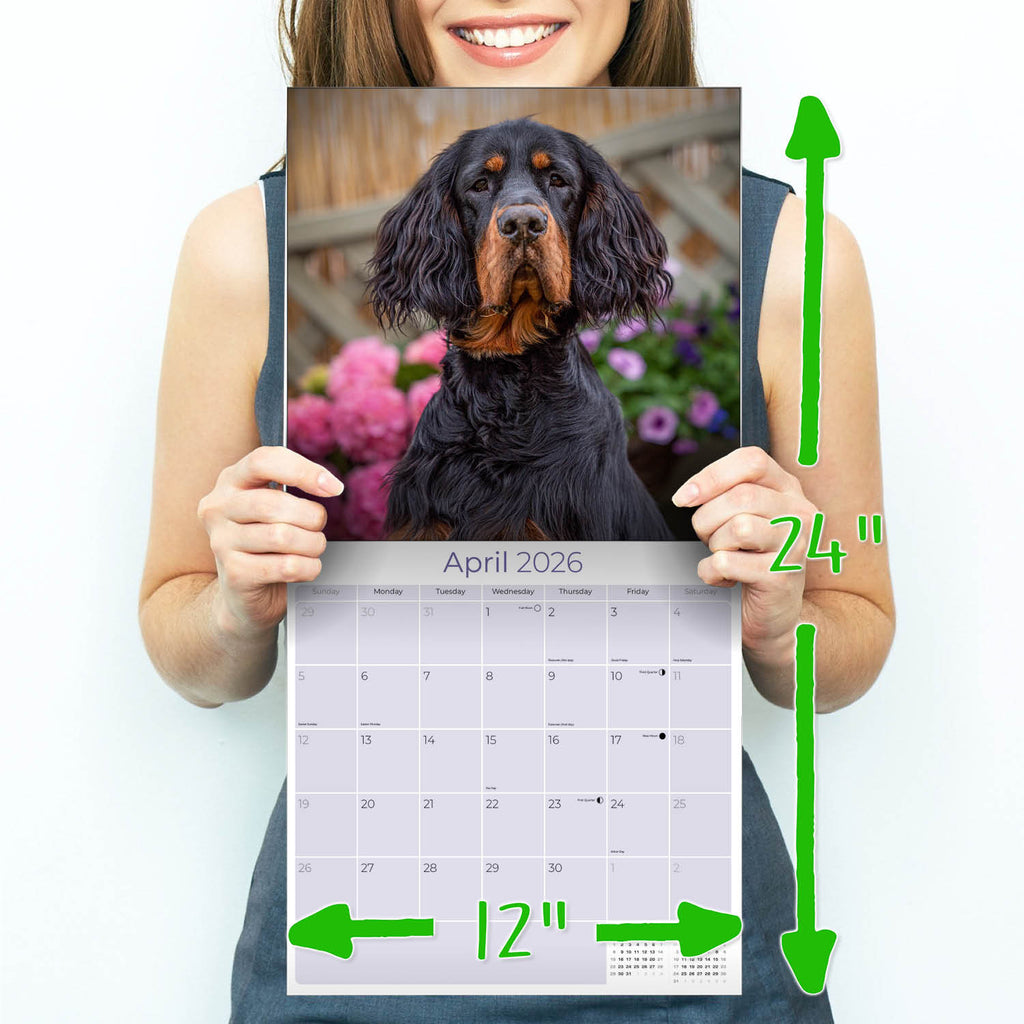 Gordon Setter Wall Calendar 2026