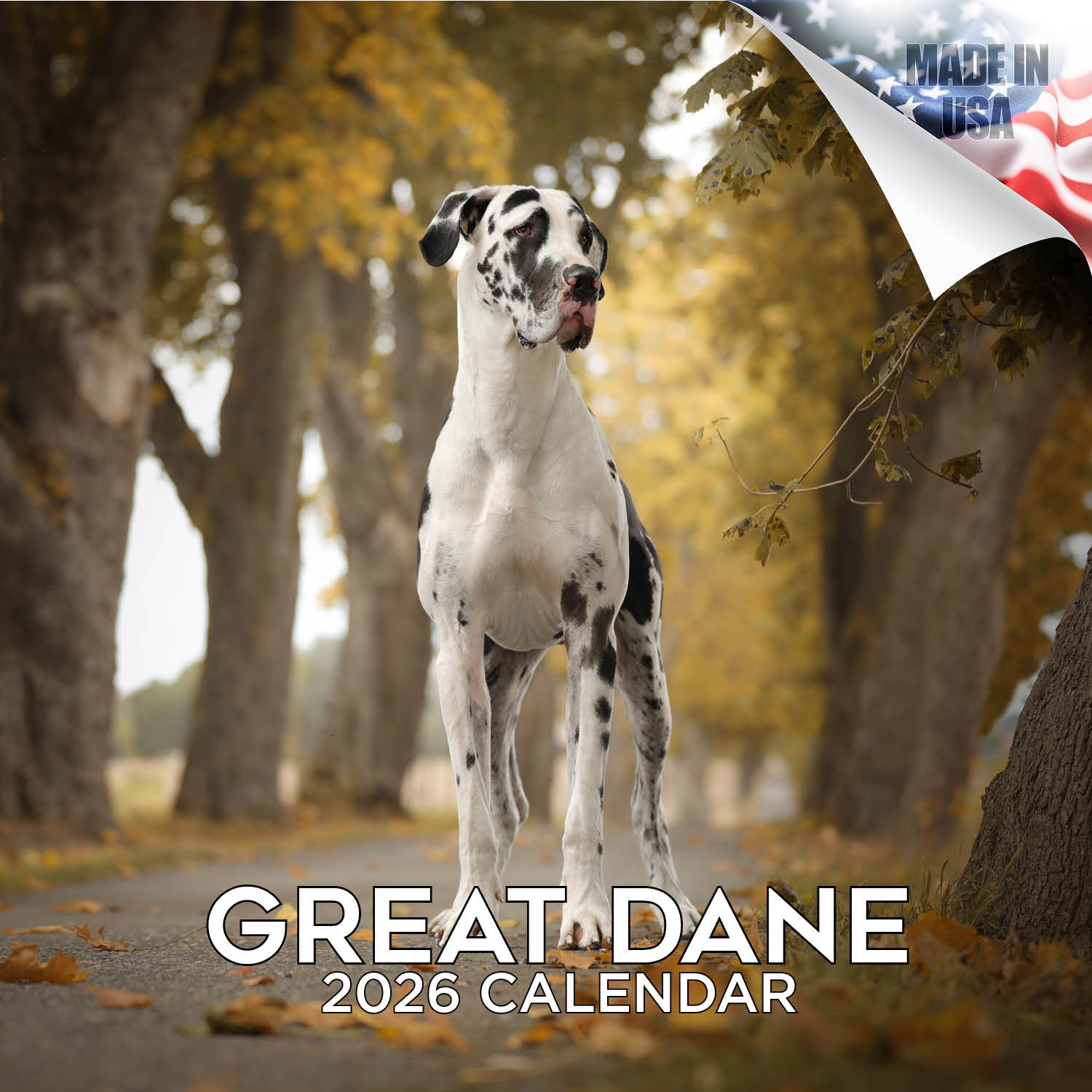 Great Dane Wall Calendar 2026