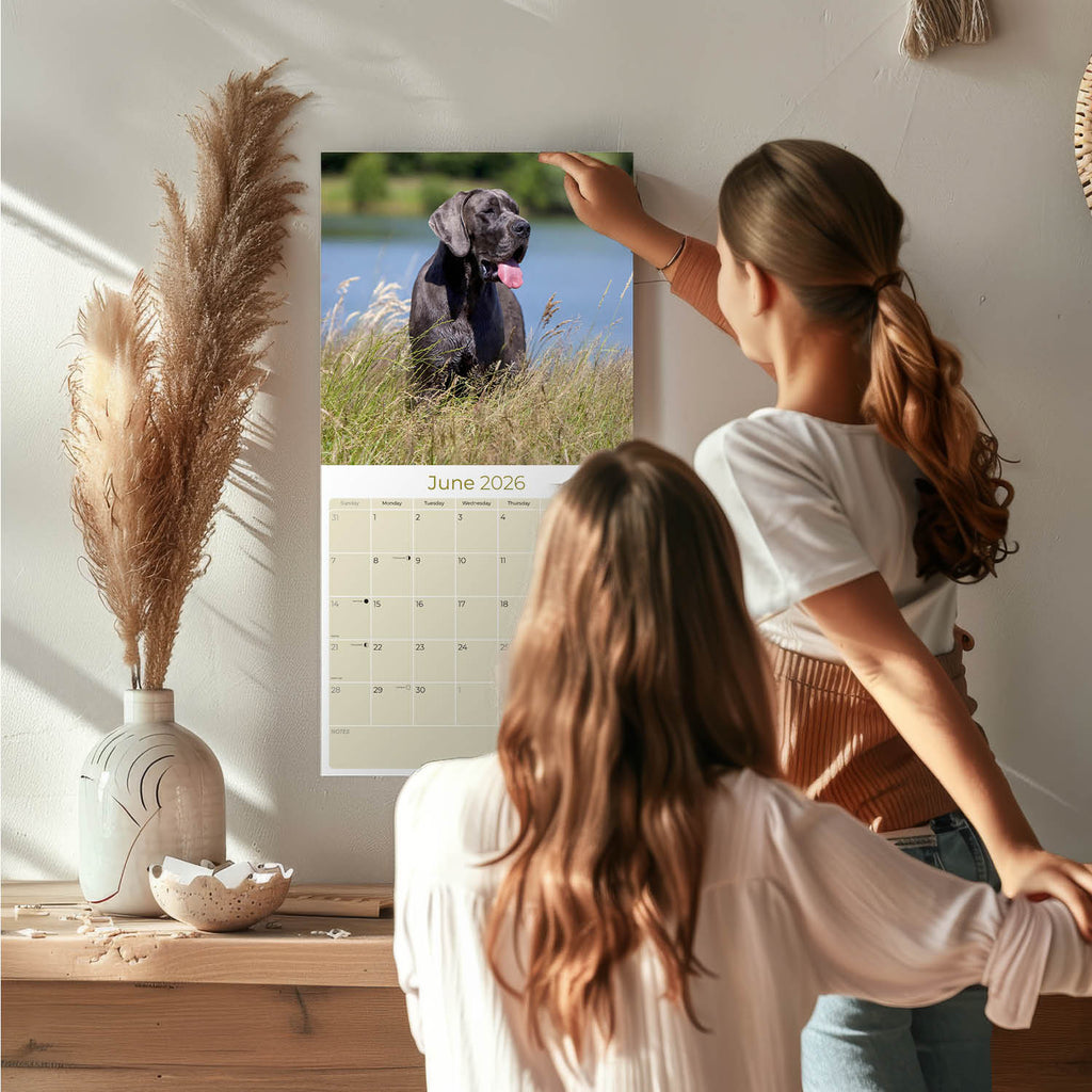Great Dane Wall Calendar 2026