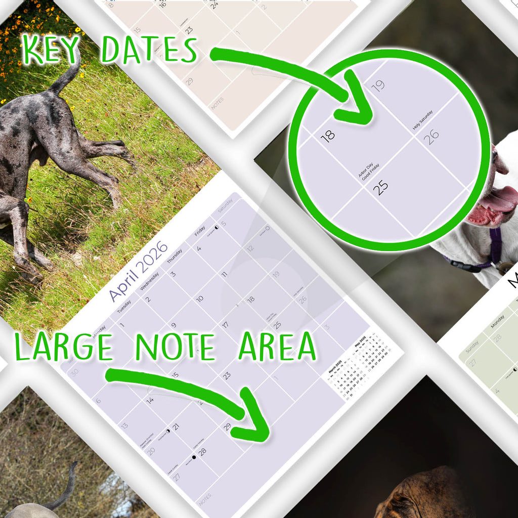 Great Dane Wall Calendar 2026