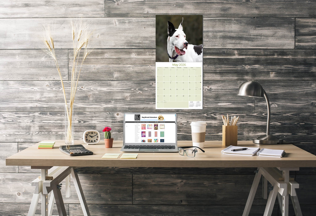 Great Dane Wall Calendar 2026