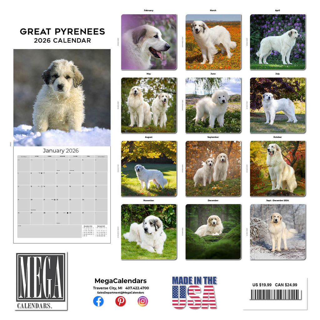 Great Pyrenees Wall Calendar 2026