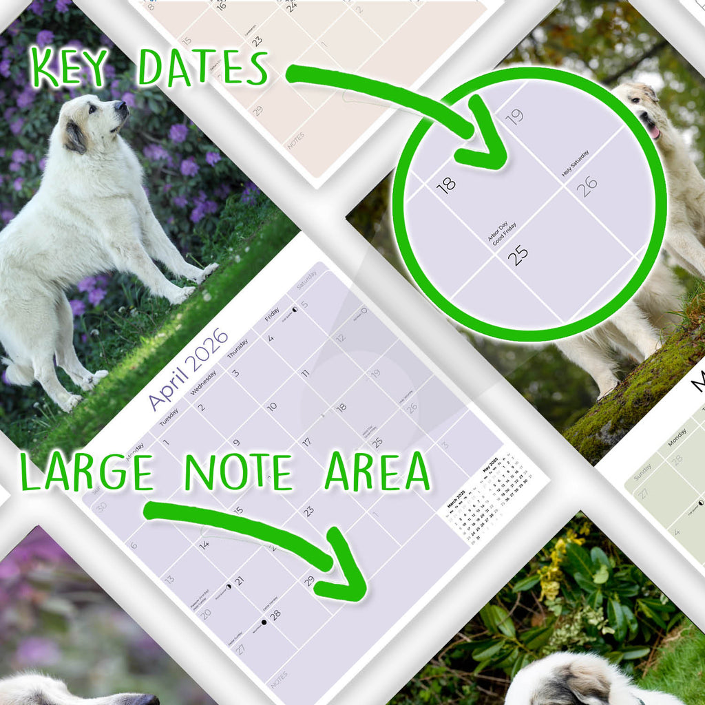 Great Pyrenees Wall Calendar 2026