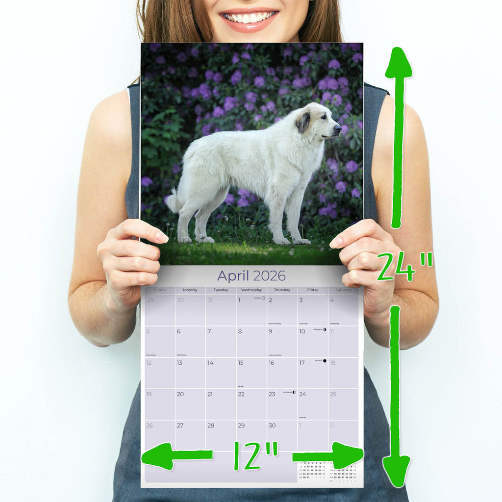 Great Pyrenees Wall Calendar 2026
