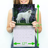 Great Pyrenees Wall Calendar 2026