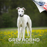 Greyhound Wall Calendar 2026