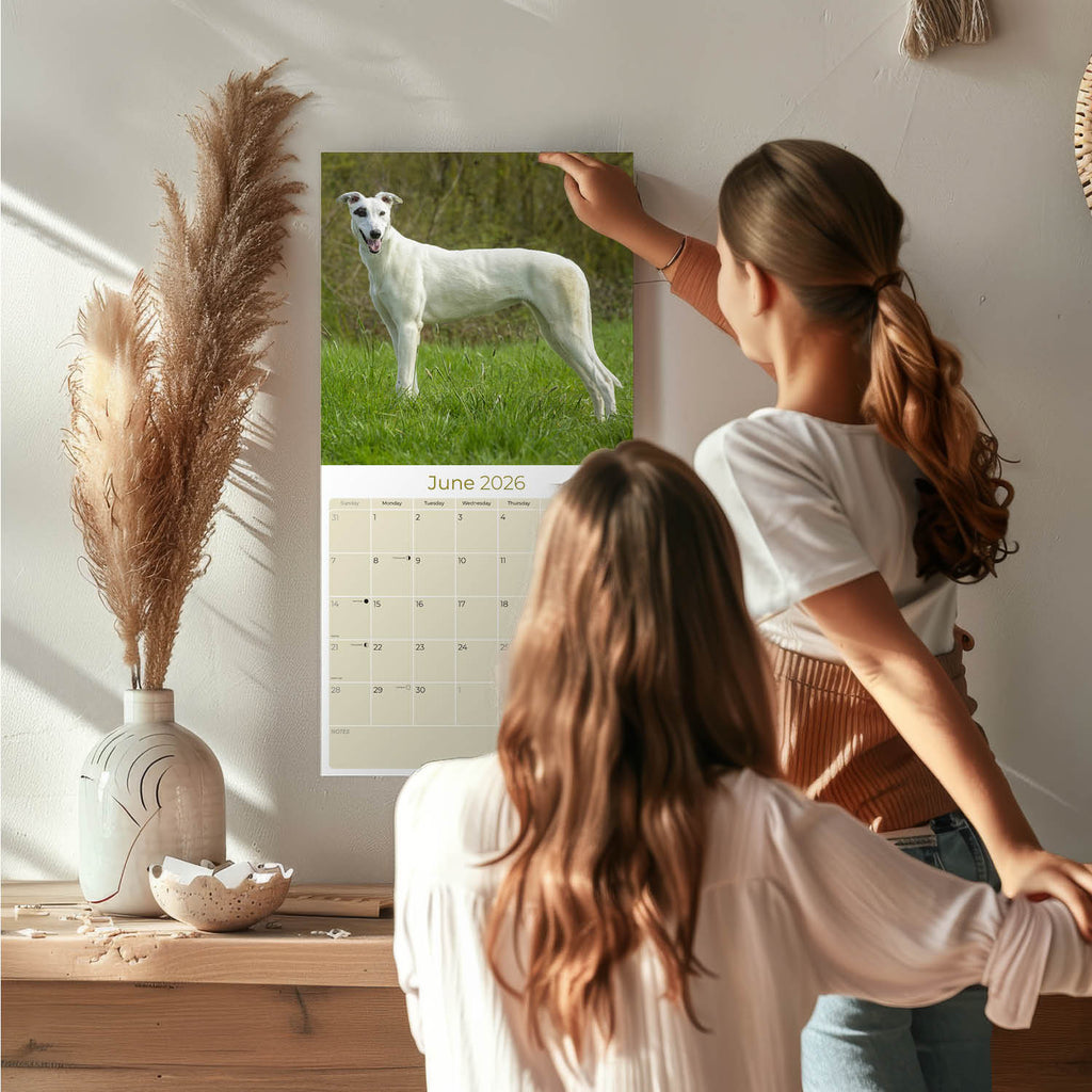 Greyhound Wall Calendar 2026
