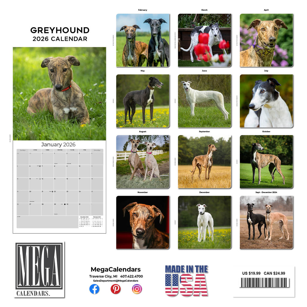 Greyhound Wall Calendar 2026
