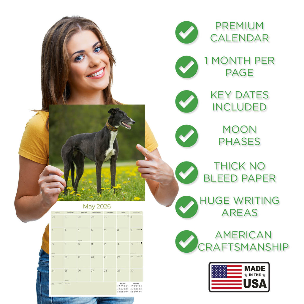 Greyhound Wall Calendar 2026