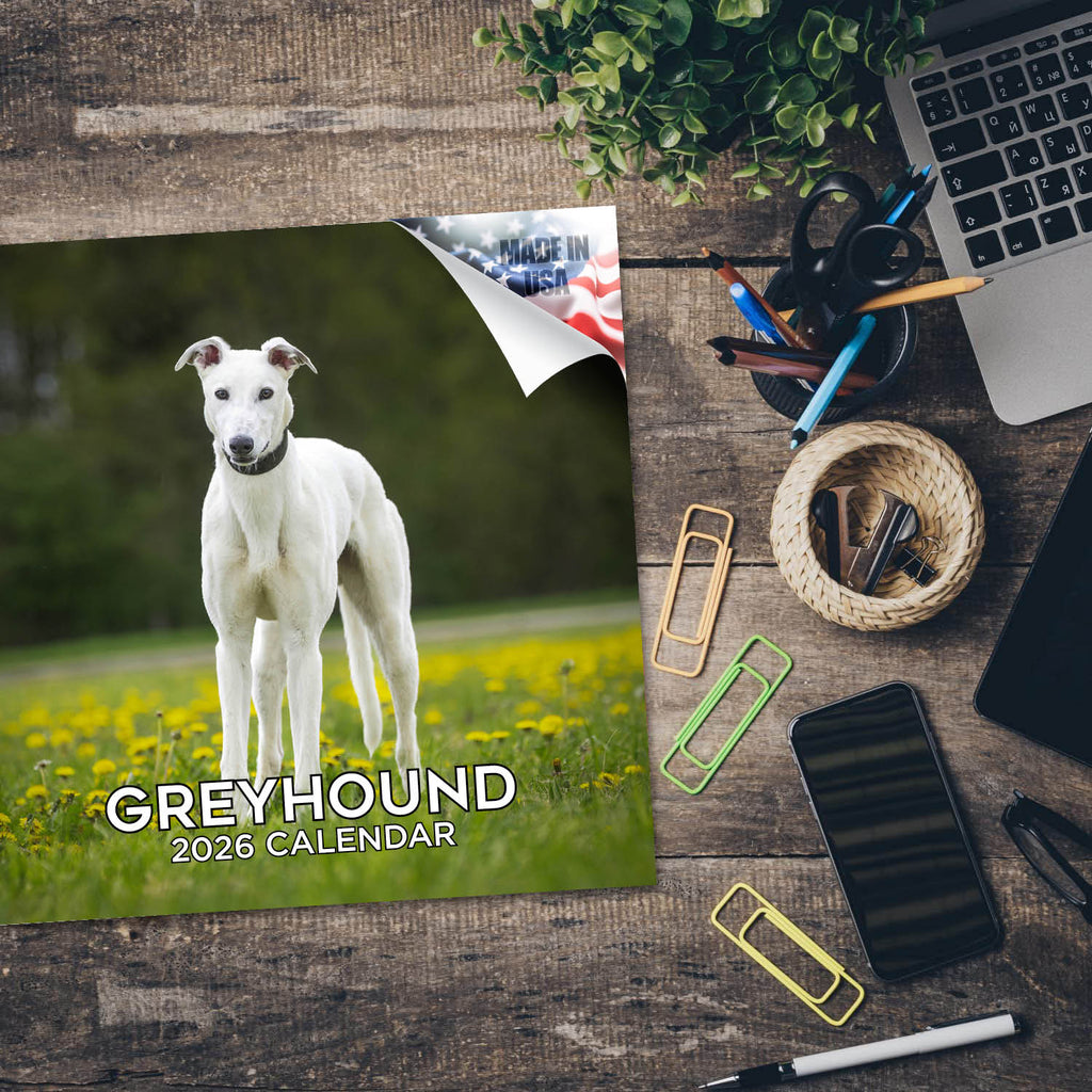 Greyhound Wall Calendar 2026