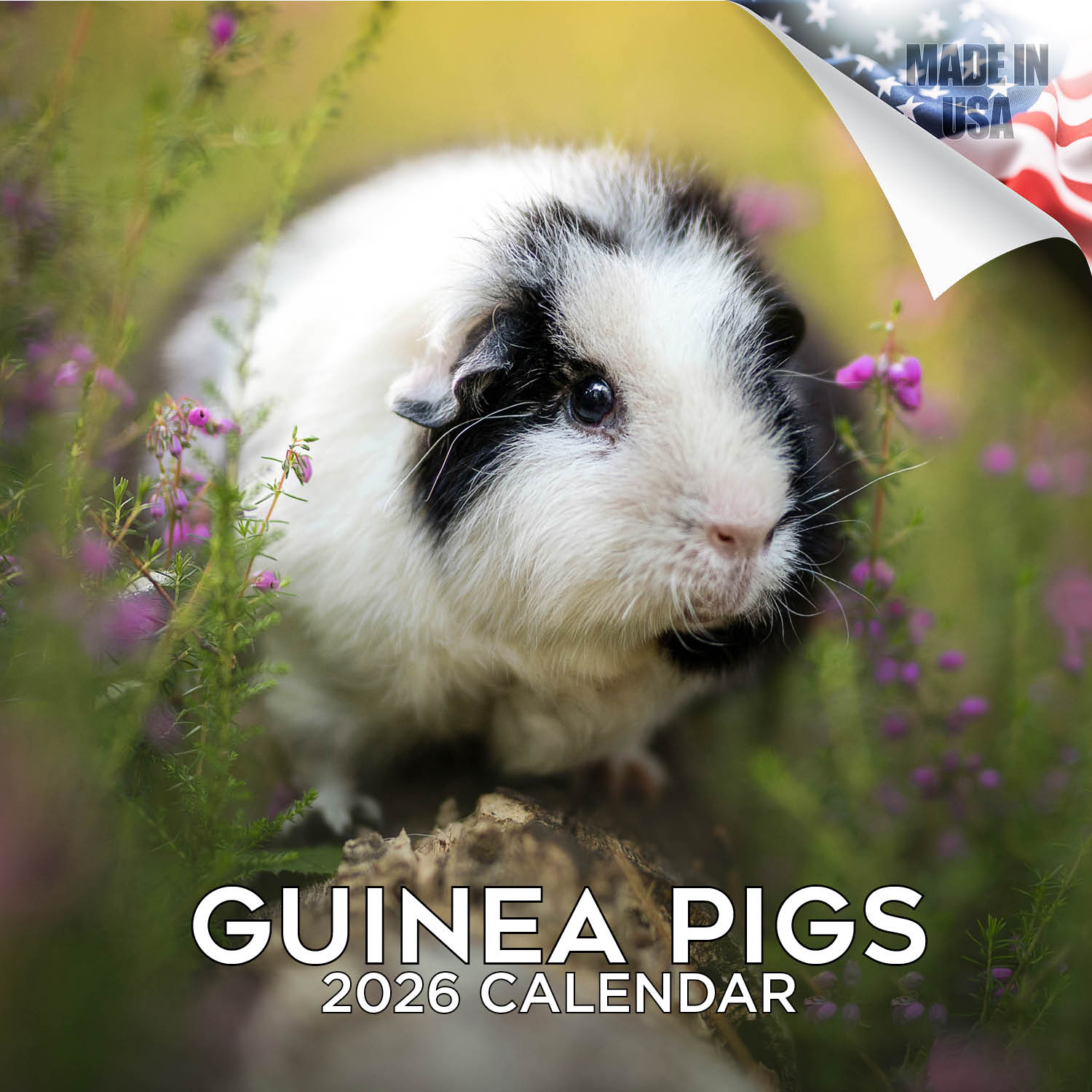 Guinea Pigs Wall Calendar 2026