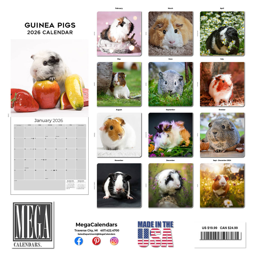 Guinea Pigs Wall Calendar 2026
