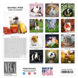 Guinea Pigs Wall Calendar 2026