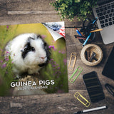 Guinea Pigs Wall Calendar 2026