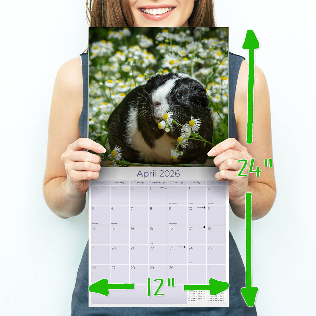 Guinea Pigs Wall Calendar 2026