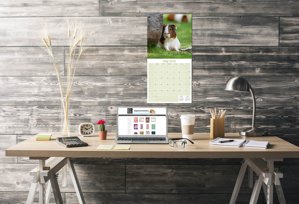 Guinea Pigs Wall Calendar 2026