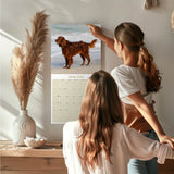 Irish Setter Wall Calendar 2026
