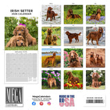 Irish Setter Wall Calendar 2026
