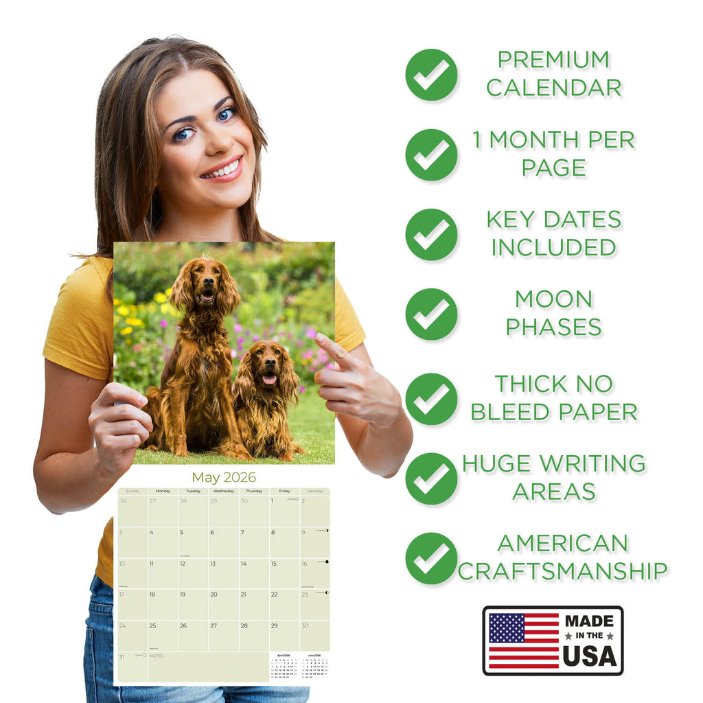 Irish Setter Wall Calendar 2026