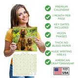 Irish Setter Wall Calendar 2026