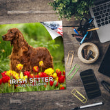 Irish Setter Wall Calendar 2026