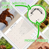 Irish Setter Wall Calendar 2026