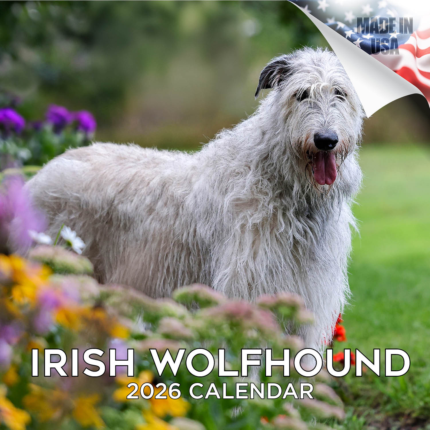 Irish Wolfhound Wall Calendar 2026