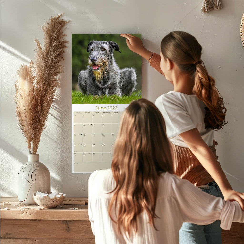Irish Wolfhound Wall Calendar 2026