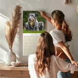 Irish Wolfhound Wall Calendar 2026