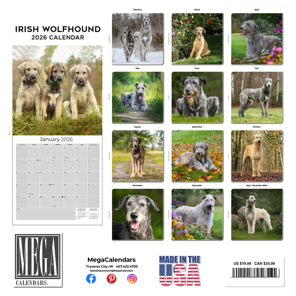 Irish Wolfhound Wall Calendar 2026